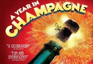 NetFlix酿酒纪录片《香槟的一年 A Year in Champagne》全1集 720P/1080i高清纪录片资源-高清标清1080P720P360P迅雷BT网盘下载