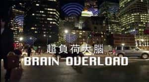 PTS人体科学纪录片《大脑超负荷 Brain Overload》全1集 720P/1080i高清纪录片资源-高清标清1080P720P360P迅雷BT网盘下载