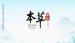 中医学文化纪录片《本草中华 Herbal China》第一季 720P/1080i高清纪录片资源-高清标清1080P720P360P迅雷BT网盘下载