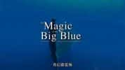 探索频道海洋生态纪录片《七大洲神奇碧海 The Magic Of The Big Blue》全7集 720P/1080i高清纪录片-高清标清1080P720P360P迅雷BT网盘下载