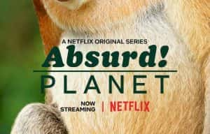 Netflix野生动物纪录片《怪诞星球 Absurd Planet》全12集 720P/1080i高清纪录片资源-高清标清1080P720P360P迅雷BT网盘下载