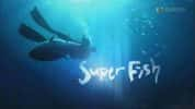 KBS美食文化纪录片《大鱼奇谭 Superfish》全4集 720P/1080i高清纪录片-高清标清1080P720P360P迅雷BT网盘下载