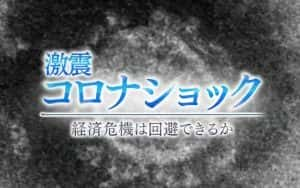 NHK疫情纪录片《新冠冲击 经济危机能否避免》全1集 720P/1080i高清纪录片资源-高清标清1080P720P360P迅雷BT网盘下载