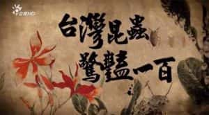 台湾公视昆虫纪录片《台湾昆虫 惊艳一百》全3集 720P/1080i高清纪录片资源-高清标清1080P720P360P迅雷BT网盘下载