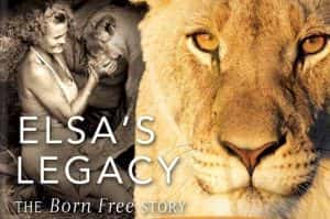 PBS人与动物纪录片《艾尔莎的遗产：生而自由的故事 Elsa’s Legacy: The Born Free Story》全1集 720P/1080i高清纪录片资源-高清标清1080P720P360P迅雷BT网盘下载