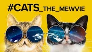 Netflix萌宠纪录片《网红喵星人 cats the mewvie》全1集 720P/1080i高清纪录片资源-高清标清1080P720P360P迅雷BT网盘下载