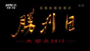 央视军事纪录片《胜利日大阅兵 2015》全5集 720P/1080i高清纪录片资源-高清标清1080P720P360P迅雷BT网盘下载