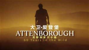 BBC人物传记纪录片《大卫·爱登堡 野外探索60年 Attenborough 60 Years In The Wild》全3集 720P/1080i高清纪录片资源-高清标清1080P720P360P迅雷BT网盘下载