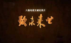 CCTV央视历史人文纪录片《致未来书》全6集 720P/1080i高清纪录片资源-高清标清1080P720P360P迅雷BT网盘下载