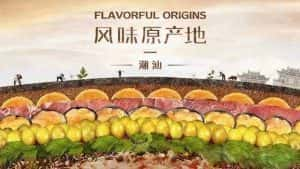 美食纪录片《风味原产地·潮汕 Flavorful Origins: Chaoshan Cuisine》全20集 720P/1080i高清纪录片资源-高清标清1080P720P360P迅雷BT网盘下载