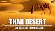 探索频道自然生态纪录片《印度塔尔大沙漠 THAR:India’s Great Desert》全1集 720P/1080i高清纪录片-高清标清1080P720P360P迅雷BT网盘下载