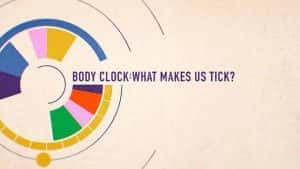 BBC人体奥秘纪录片《生物钟：身体运转的奥秘 Body Clock: What Makes Us Tick》全1集 720P/1080i高清纪录片资源-高清标清1080P720P360P迅雷BT网盘下载