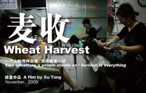 徐童游民三部曲纪录片《麦收 Wheat Harvest》全1集 标清纪录片资源-高清标清1080P720P360P迅雷BT网盘下载