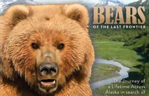 PBS关于熊的纪录片《最后边疆的大熊 Bears of the Last Frontier》全3集 720P/1080i高清纪录片资源-高清标清1080P720P360P迅雷BT网盘下载