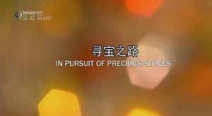 宝石奢侈品纪录片《寻宝之路 In Pursuit of Precious Stones》全4集 720P/1080i高清纪录片资源-高清标清1080P720P360P迅雷BT网盘下载