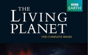 BBC自然地理纪录片《活力星球 The Living Planet》全12集 标清纪录片资源-高清标清1080P720P360P迅雷BT网盘下载