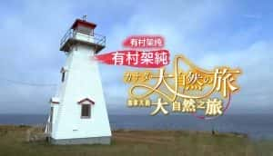 NHK旅行纪录片《有村架纯：加拿大大自然之旅》全1集 720P/1080i高清纪录片资源-高清标清1080P720P360P迅雷BT网盘下载