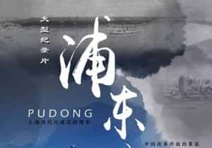 改革开放政论纪录片《浦东传奇 Legend of Pudong Shanghai》全5集 720P/1080i高清纪录片资源-高清标清1080P720P360P迅雷BT网盘下载