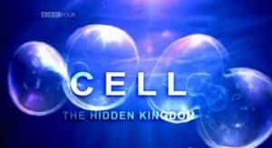 BBC生命探索纪录片《细胞 The Cell》全3集 720P/1080i高清纪录片资源-高清标清1080P720P360P迅雷BT网盘下载