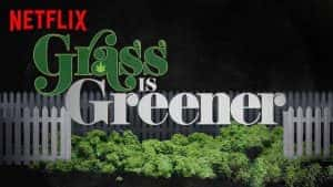 Netflix禁毒纪录片《印度妙草 Grass is Greener》全1集 720P/1080i高清纪录片资源-高清标清1080P720P360P迅雷BT网盘下载