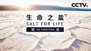 央视食盐史诗纪录片《生命之盐 Salt for Life》全6集 720P/1080i高清纪录片资源-高清标清1080P720P360P迅雷BT网盘下载