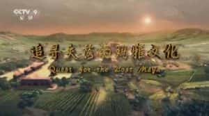 国家地理古文明纪录片《追寻失落的玛雅文化 Quest for the Lost Maya》全1集 720P/1080i高清纪录片资源-高清标清1080P720P360P迅雷BT网盘下载