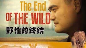 CCTV央视动物保护纪录片《野性的终结 The End of the Wild》全2集 720P/1080i高清纪录片资源-高清标清1080P720P360P迅雷BT网盘下载