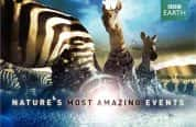 BBC自然生态纪录片《自然界大事件 Nature’s Great Events》全6集 720P/1080i高清纪录片资源-高清标清1080P720P360P迅雷BT网盘下载