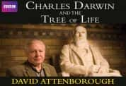 BBC自然科学纪录片《达尔文和生命之树 Charles Darwin and the Tree of Life》全1集 720P/1080i高清纪录片-高清标清1080P720P360P迅雷BT网盘下载