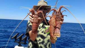 探索频道捕捞纪录片《恶海捕龙虾 Lobstermen》全5集 标清纪录片资源-高清标清1080P720P360P迅雷BT网盘下载