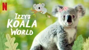 Netflix野生动物纪录片《伊兹的考拉世界 Izzy’s Koala World》第1季 720P/1080i高清纪录片资源-高清标清1080P720P360P迅雷BT网盘下载