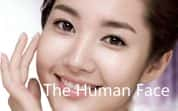 BBC生活纪录片《五官奥妙 The Human Face》全4集 标清纪录片-高清标清1080P720P360P迅雷BT网盘下载