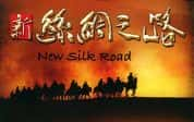 CCTV央视历史人文纪录片《新丝绸之路 New Silkroad 2006》全11集 720P/1080i高清纪录片资源-高清标清1080P720P360P迅雷BT网盘下载