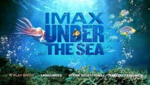 IMAX海洋生态纪录片《海底世界 Under The Sea》全1集 720P/1080i高清纪录片资源-高清标清1080P720P360P迅雷BT网盘下载