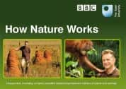 BBC自然生态纪录片《自然的运作 How Nature Works》全4集 720P/1080i高清纪录片-高清标清1080P720P360P迅雷BT网盘下载