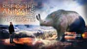 BBC生物进化纪录片《动物的崛起 Rise Of Animals》全2集 720P/1080i高清纪录片-高清标清1080P720P360P迅雷BT网盘下载