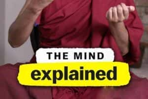 Netflix人体奥秘纪录片《头脑解密 The Mind, Explained》全5集 720P/1080i高清纪录片资源-高清标清1080P720P360P迅雷BT网盘下载