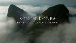 BBC历史纪录片《韩国：地球的隐秘荒野 South Korea Earth‘s Hidden Wilderness》全1集 720P/1080i高清纪录片资源-高清标清1080P720P360P迅雷BT网盘下载