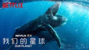 Netflix自然生态纪录片《我们的星球 Our Planet》全8集 720P/1080i高清纪录片资源-高清标清1080P720P360P迅雷BT网盘下载