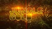 探索频道淘金纪录片《非洲丛林采黄金 Jungle Gold》全13集 标清纪录片-高清标清1080P720P360P迅雷BT网盘下载