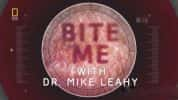 国家地理生命探索纪录片《动物奇兵系列 Bite Me With Dr. Mike Leahy》全7集 720P/1080i高清纪录片-高清标清1080P720P360P迅雷BT网盘下载