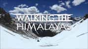 户外纪录片《徒步喜马拉雅山脉 Walking The Himalayas》全5集 720P/1080i高清纪录片-高清标清1080P720P360P迅雷BT网盘下载