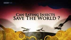 BBC未来粮食纪录片《吃昆虫能拯救世界吗 Can Eating Insects Save the World》全1集 720P/1080i高清纪录片资源-高清标清1080P720P360P迅雷BT网盘下载