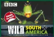 BBC自然生态纪录片《野性南美洲 Wild South America》全6集 720P/1080i高清纪录片-高清标清1080P720P360P迅雷BT网盘下载