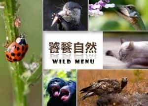 自然生物纪录片《饕餮自然 Wild Menu》第1季 720P/1080i高清纪录片资源-高清标清1080P720P360P迅雷BT网盘下载