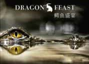 国家地理生命探索纪录片《鳄鱼盛宴 Dragon Feast》全1集 720P/1080i高清纪录片-高清标清1080P720P360P迅雷BT网盘下载