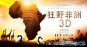 非洲旅行纪录片《狂野非洲 African Safari》全1集 720P/1080i高清纪录片资源-高清标清1080P720P360P迅雷BT网盘下载