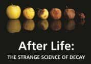 BBC生命探索纪录片《生命循环 奇异的腐烂科学 After Life The Strange Science of Decay》全1集 720P/1080i高清纪录片-高清标清1080P720P360P迅雷BT网盘下载