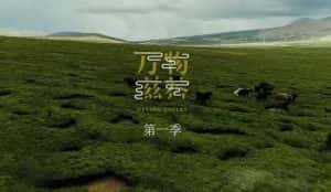 健康美食纪录片《万物滋养 Giving Cycles》第1季 720P/1080i高清纪录片资源-高清标清1080P720P360P迅雷BT网盘下载