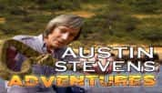 探索频道野生动物纪录片《奥斯汀闯荒野 Austin Stevens Adventures》全12集 720P/1080i高清纪录片-高清标清1080P720P360P迅雷BT网盘下载